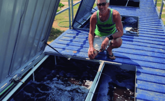 Desde el techo de Shrimp Box