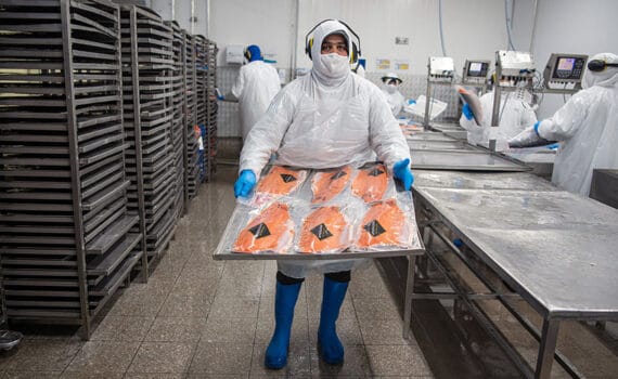 Salmones Aysén de Chile y Kames Fish Farming de Escocia se unen a la iniciativa SeaFurther de Cargill