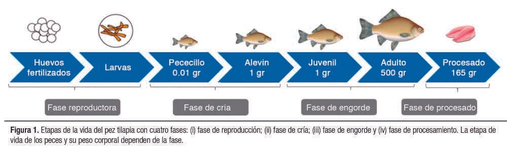 La huella hídrica, energética y terrestre de la acuicultura de tilapia en México,