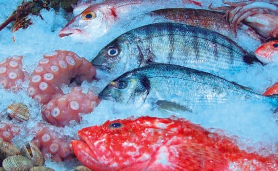 SEAFOOD = ACUICULTURA