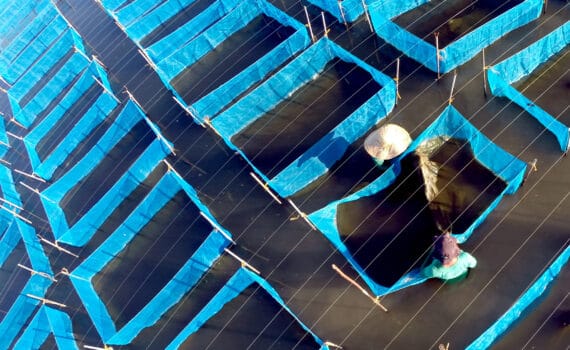 GenoMar