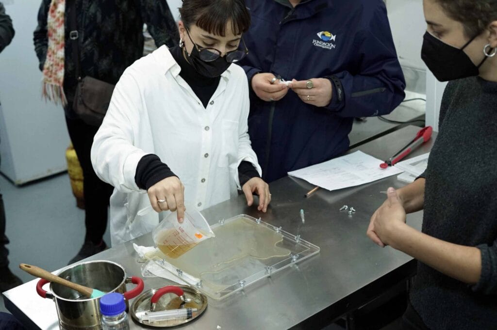 bioplásticos a base a algas nativas