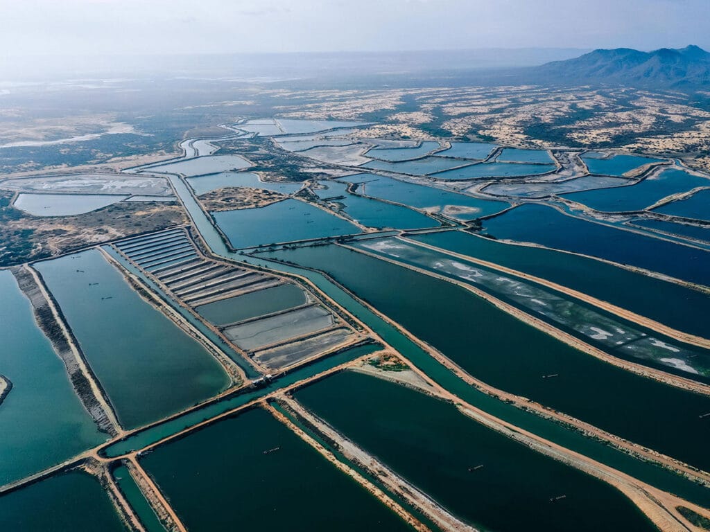 Industrial Santa Priscila 