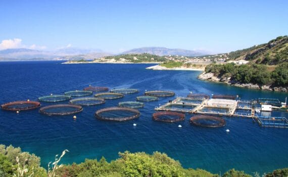 El futuro de los alimentos del mar