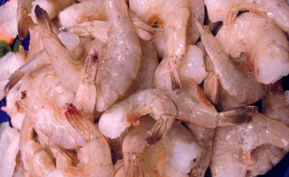 Seafood