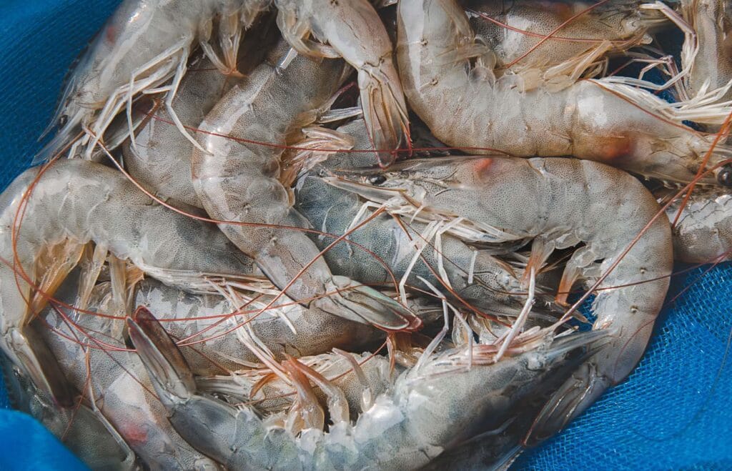 ¡Pensar en grande o  morir en el intento!