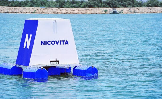 Nicovita