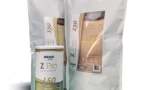 Z Pro