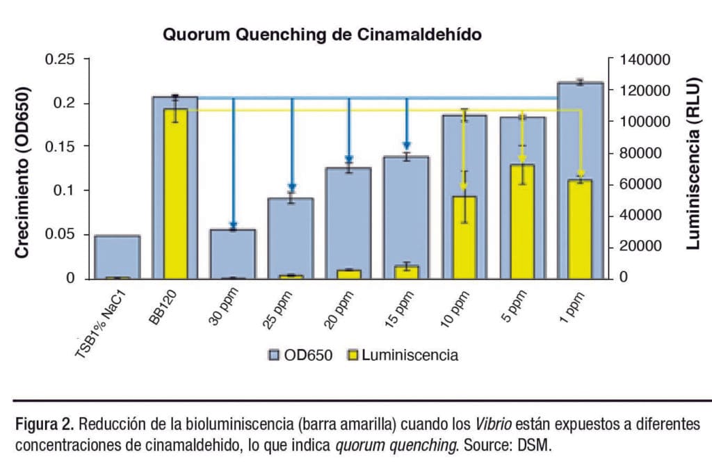 patógenos de Vibrio