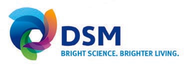 DSM