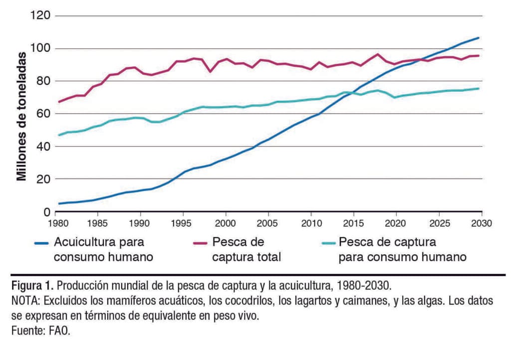 acuicultura mundial