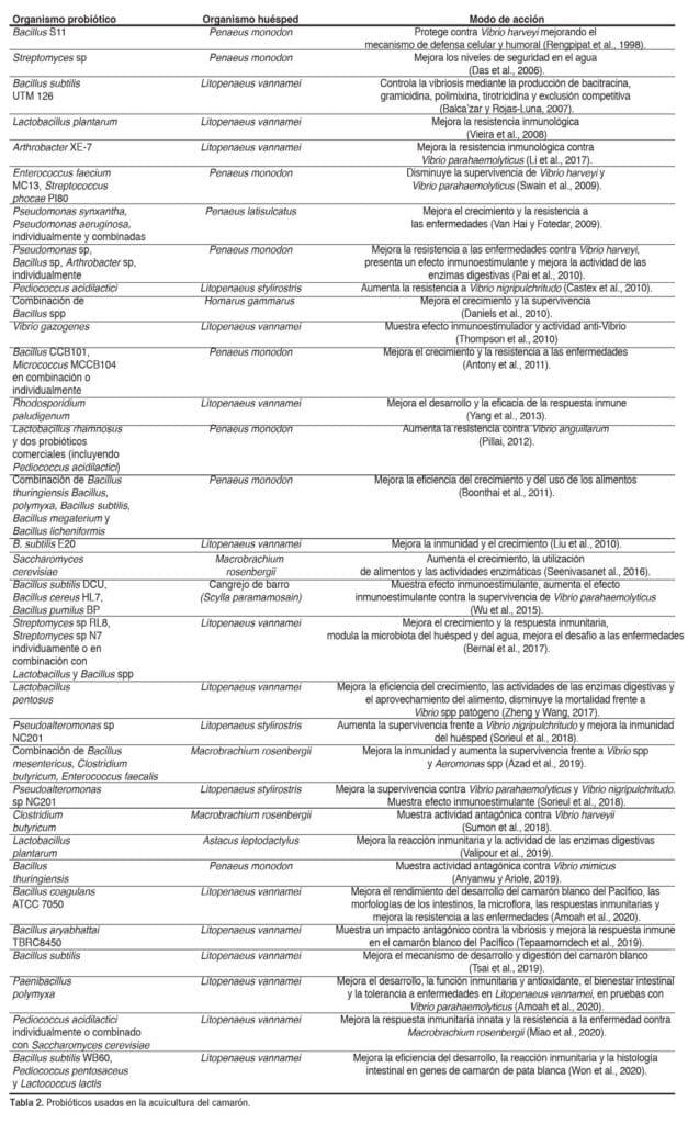 Producción de camarones