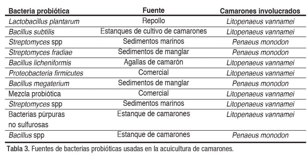 Producción de camarones