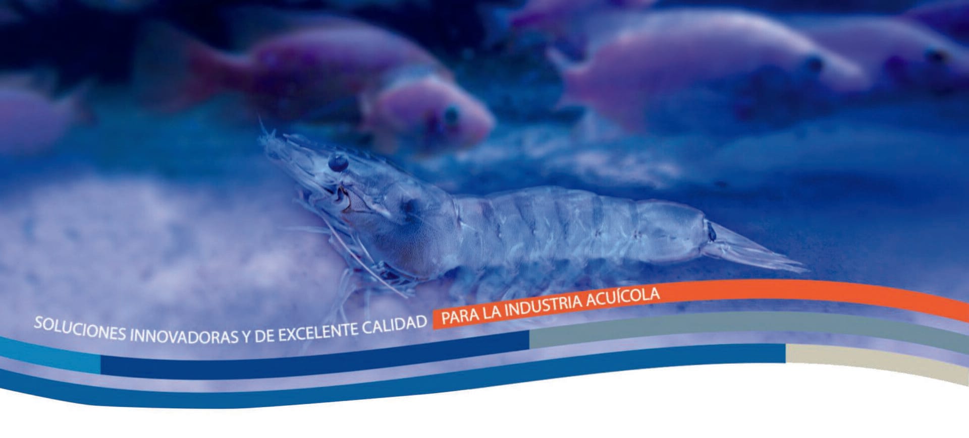 FROZEN OCEAN® Biomasa de Artemia congelada