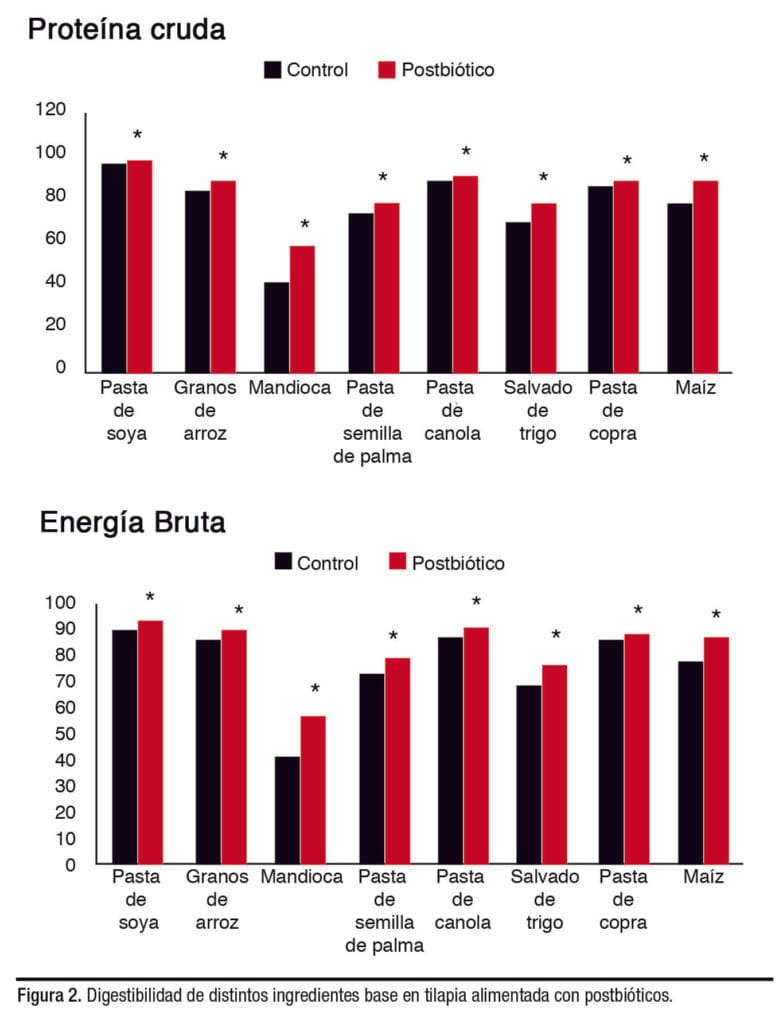 nutrición de la dieta