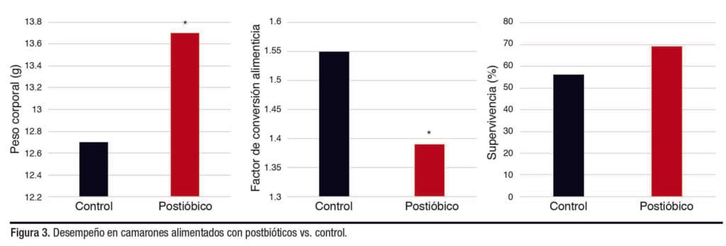 nutrición de la dieta