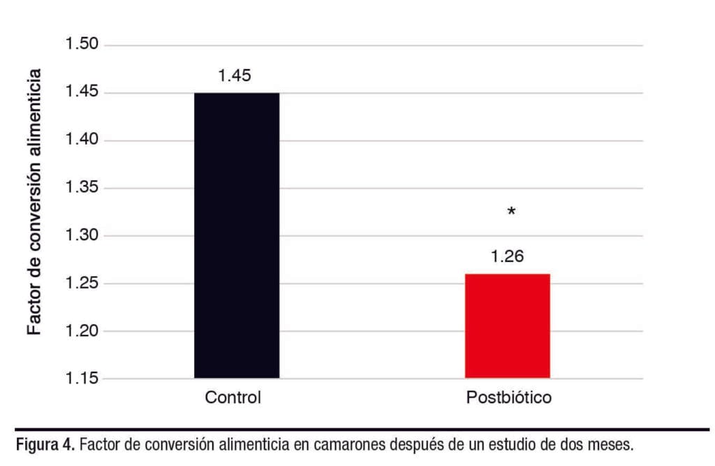 nutrición de la dieta