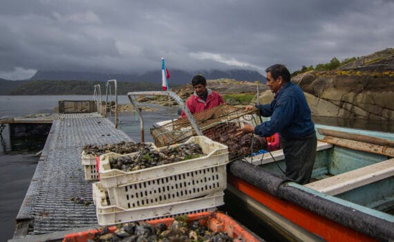 Diplomado Adaptación al Cambio Climático en Pesca y Acuicultura