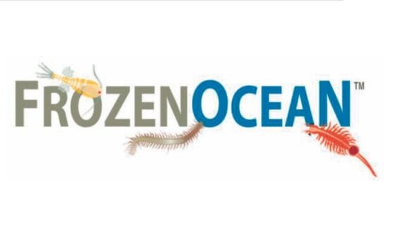 Frozen Ocean®