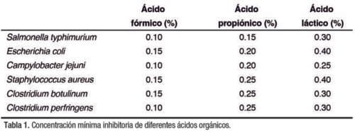 MegAcidG® de Megasupply