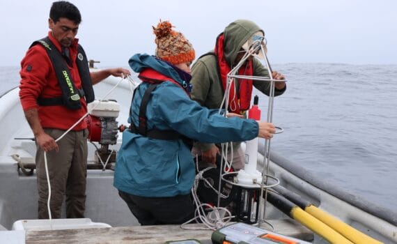 El XLII Congreso de Ciencias del Mar de Chile acoge la primera socialización de resultados del estudio sobre química del carbono y los flujos de CO2 del CEAZA