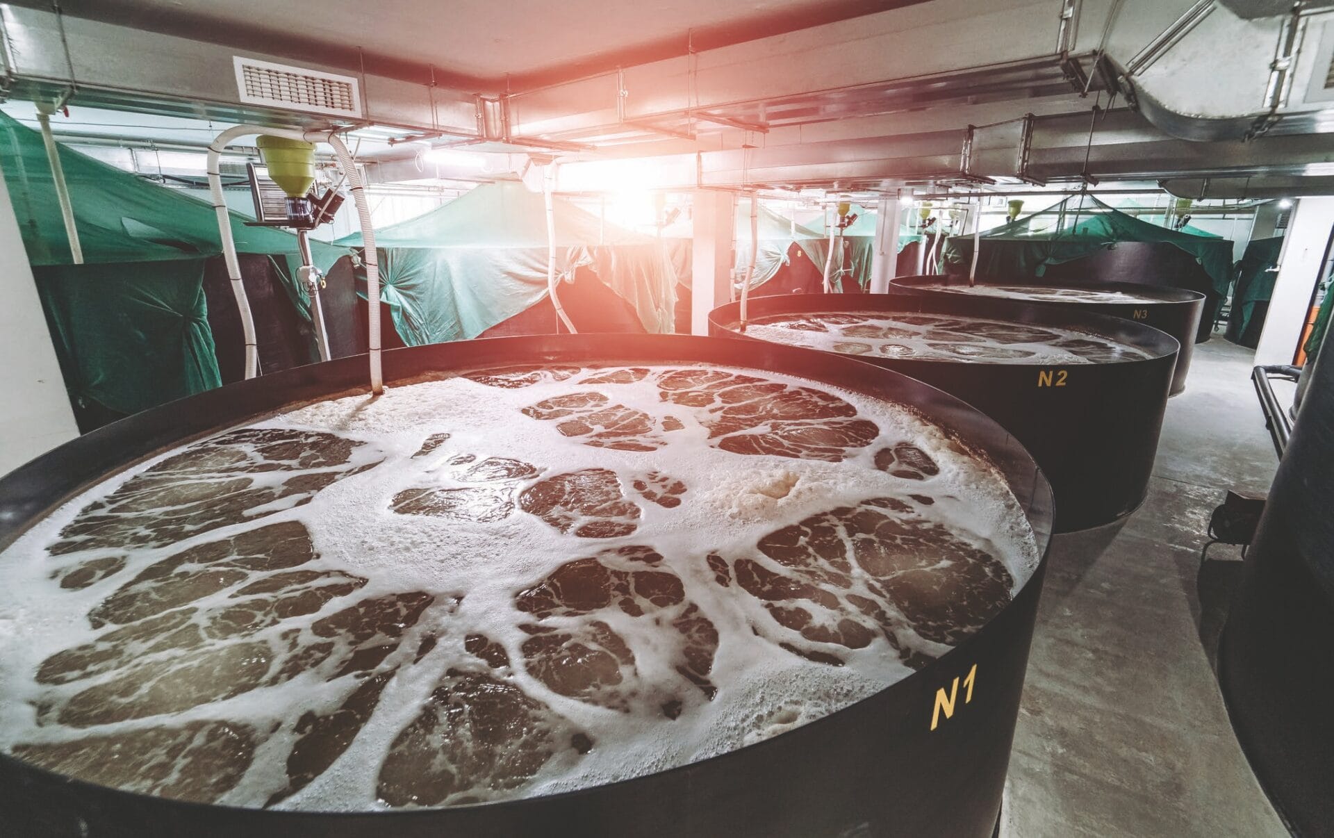 Aplicación de métodos híbridos de electrocoagulación-filtración en el pretratamiento de aguas residuales de acuicultura marina