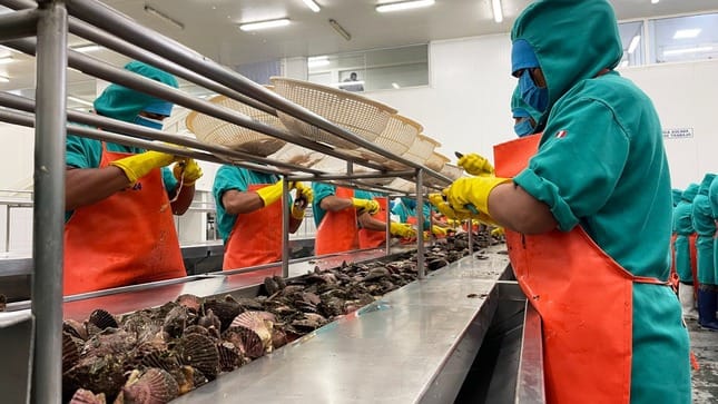 El ministerio peruano de la Producción propone modificar el reglamento de la Ley General de Acuicultura para optimizar la producción del sector