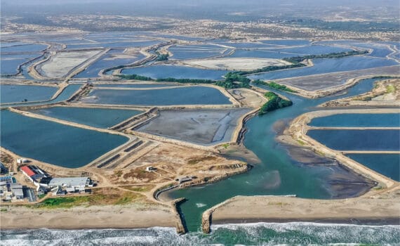 La japonesa Mitsui invierte USD 360 millones en la ecuatoriana Industrial Pesquera Santa Priscila, la mayor empresa camaronera del mundo