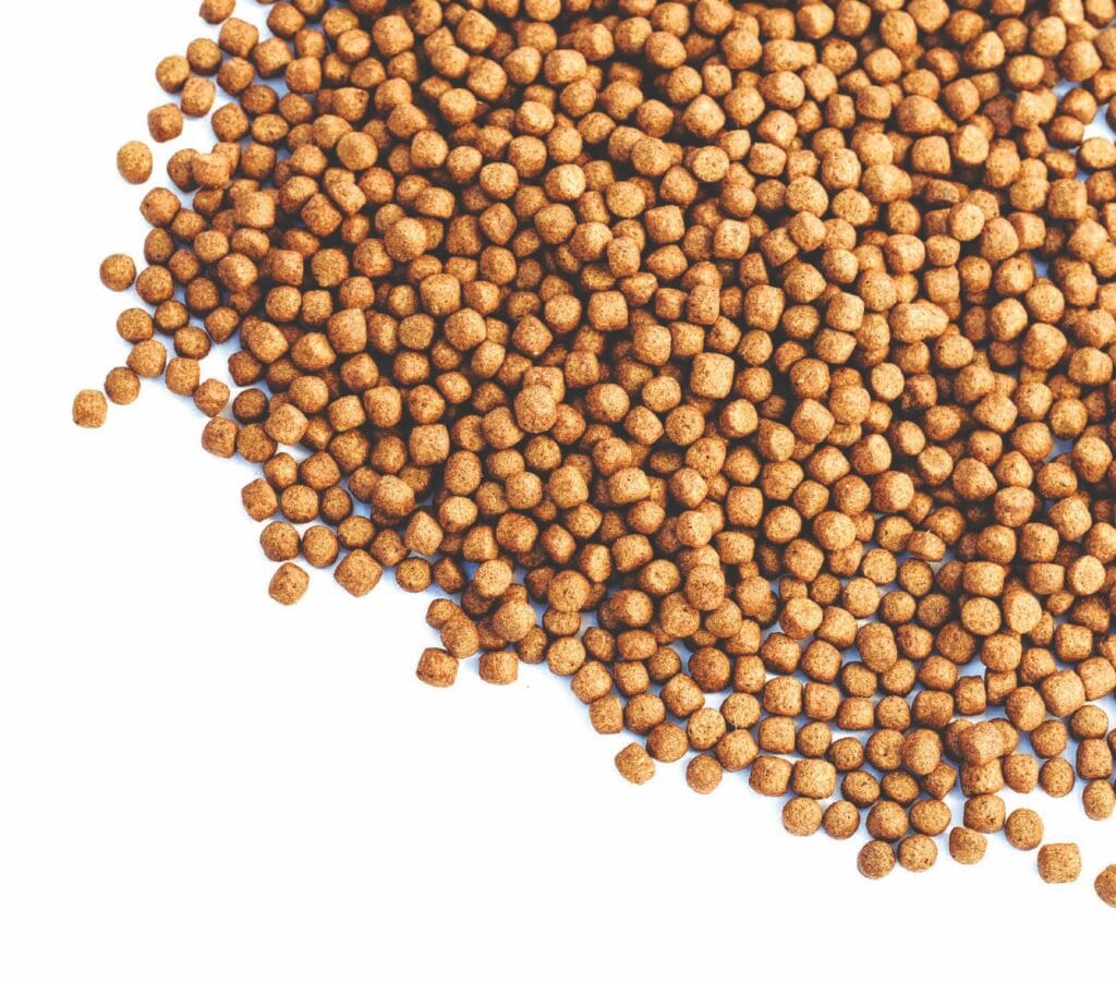 Efecto de la sustitución de harina de 
subproductos avícolas por harina de 
subproductos bovinos en el 
rendimiento global 
del Litopenaeus vannamei