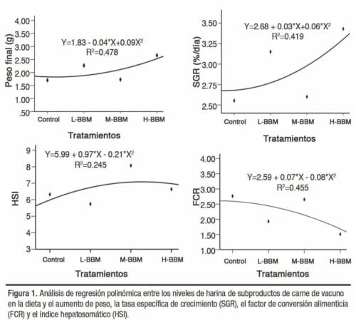 Efecto de la sustitución de harina de 
subproductos avícolas por harina de 
subproductos bovinos en el 
rendimiento global 
del Litopenaeus vannamei