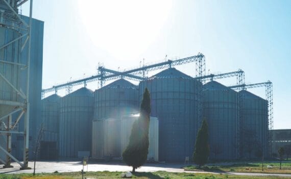 Impacto de adquisiciones de materias primas a proveedores certificados en la industria de alimentos balanceados