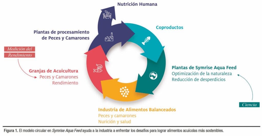 ¿Cómo podemos construir un modelo de acuicultura sustentable?