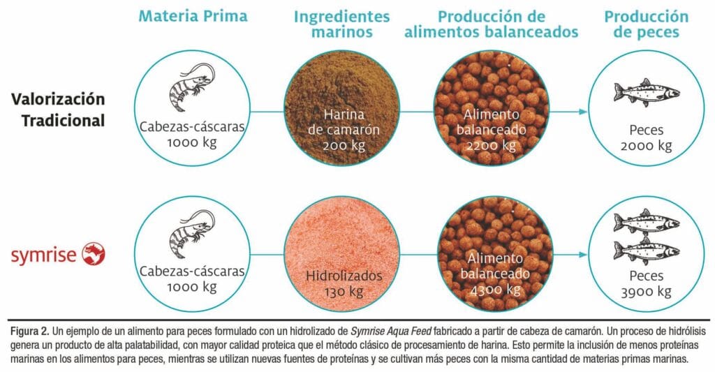 ¿Cómo podemos construir un modelo de acuicultura sustentable?
