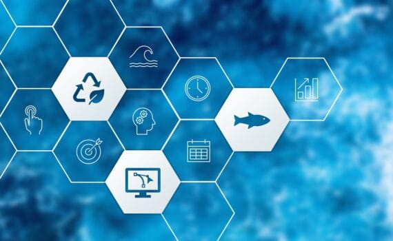 Los 11 centros productivos de Stolt Sea Farm contarán con un sistema de planificación de distribución más preciso y eficiente gracias a su flamante colaboración con decide4AI