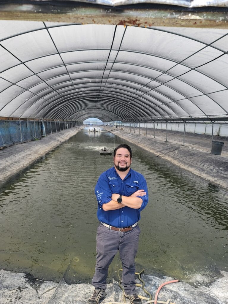 El equipo de gerencia de Spring Genetics completa una compra de gestión de Benchmark Holdings plc y establece una asociación con Benchmark para el desarrollo continuo de su programa de cría selectiva de tilapia.