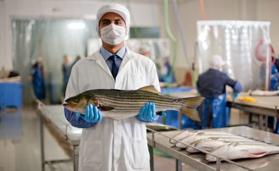 La mexicana Pacífico Aquaculture consigue nuevas inversiones que le aseguran la expansión de su producción sostenible