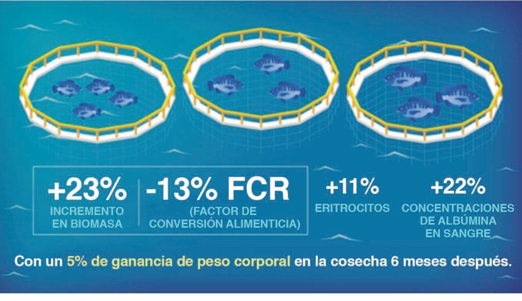 ADM® combate el estrés acuícola con alimentos formulados a la medida