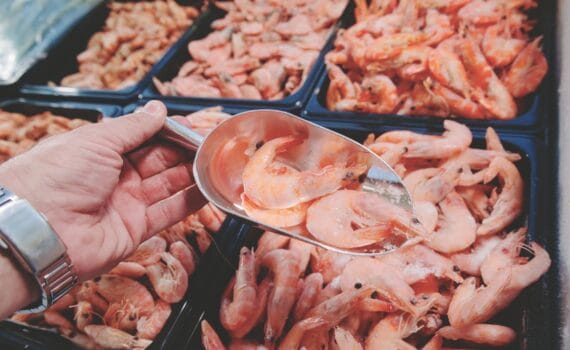 Las exportaciones de productos pesqueros y acuícolas en América Latina y el Caribe: ¿Un futuro auspicioso? (Parte 1)