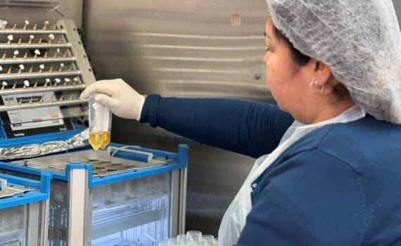 Congreso Científico Internacional AQUASUR extiende plazo para postular proyectos de doctorado