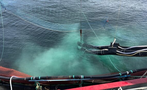 CASO DE ESTUDIO: Mejorando el impacto ambiental y la salud de los peces durante el tratamiento contra los piojos de mar