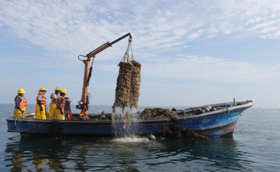 La Bahía de Sechura, en la provincia peruana de Piura, es declarada área exclusiva para la pesca y acuicultura
