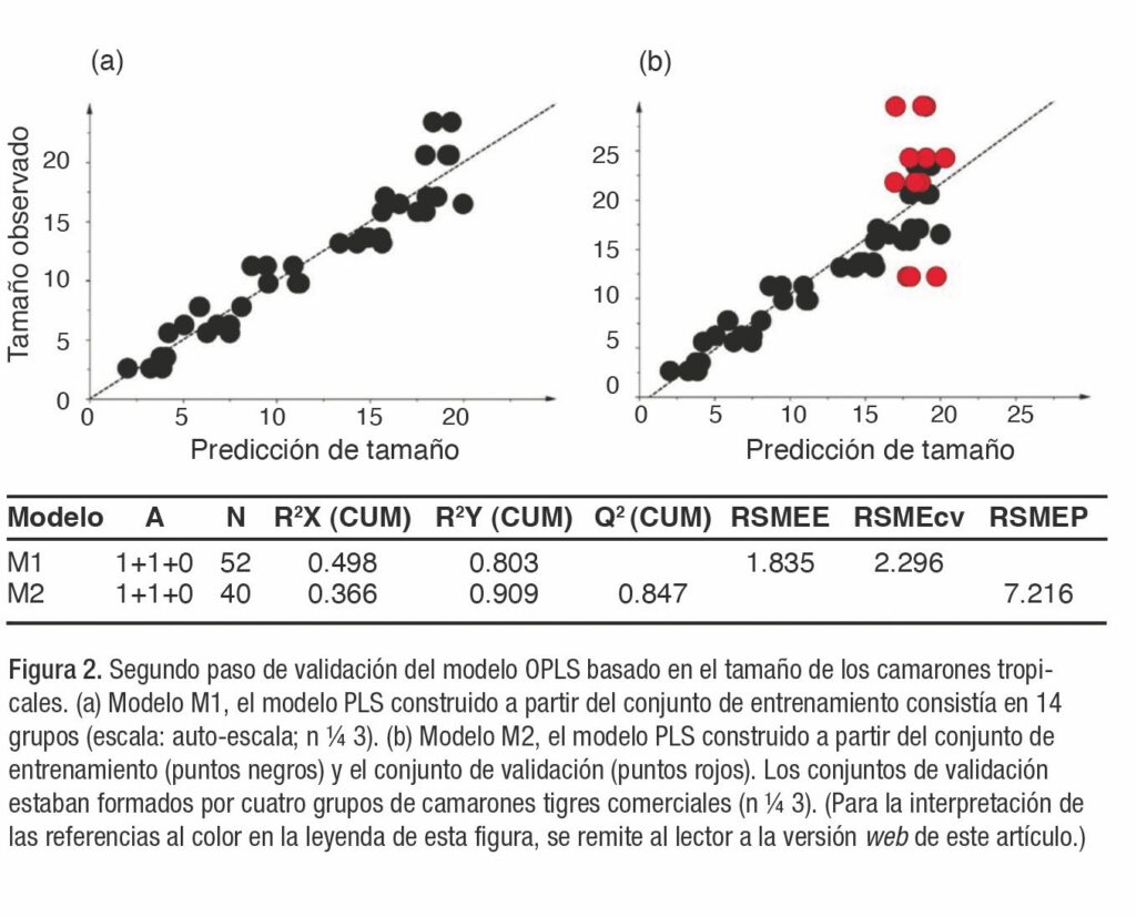 Enfoque metabolómico para determinar la importancia del tamaño del recuento en camarones peneidos comerciales: camarón blanco del Pacífico (Litopenaeus vannamei) y camarón tigre (Penaeus monodon)