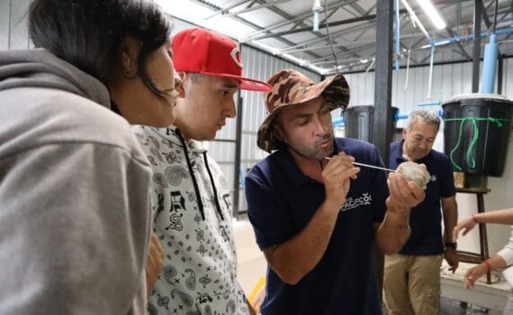 DIFUSIÓN TECNOLÓGICA: Futuros técnicos en acuicultura se capacitan en el manejo reproductivo de Ostión del Norte