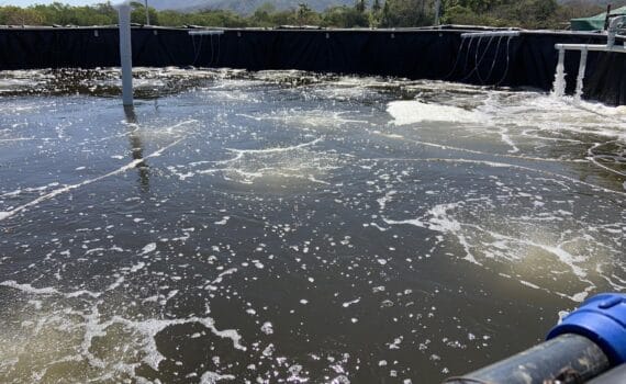 Maduración del agua con tecnología simbiótica: clave del éxito productivo