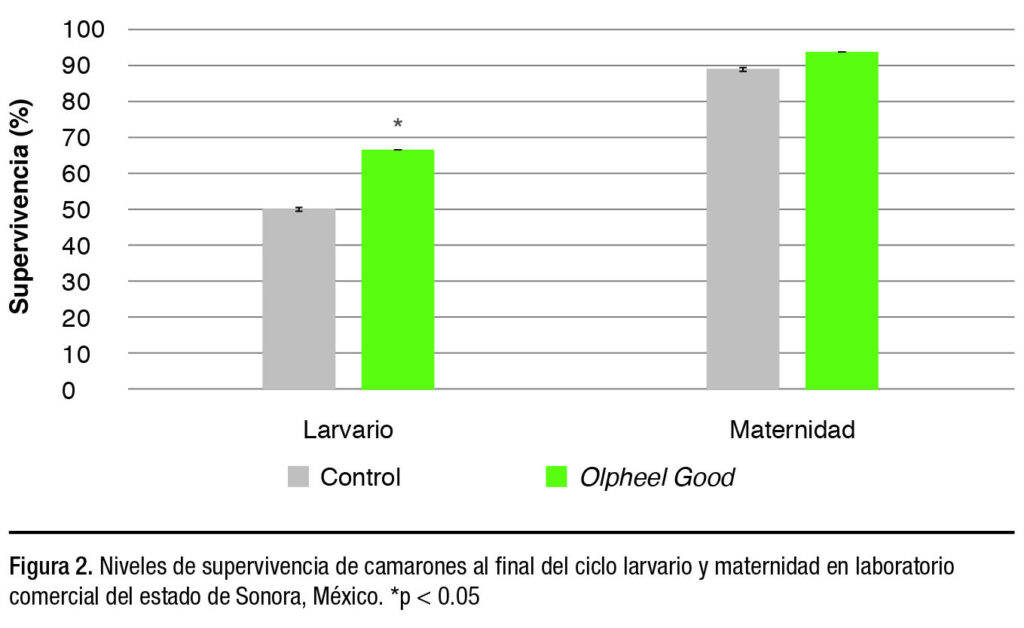 Manejo de laboratorios de larvas: la importancia del vínculo entre apetito y estrés