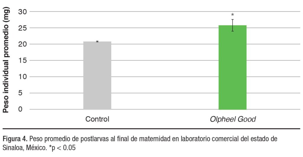Manejo de laboratorios de larvas: la importancia del vínculo entre apetito y estrés