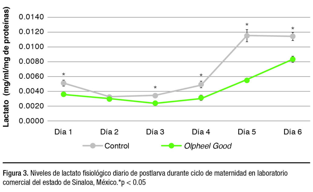 Manejo de laboratorios de larvas: la importancia del vínculo entre apetito y estrés
