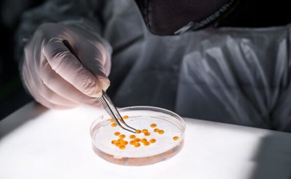 NASF 2024: Benchmark Genetics Chile participará en el próximo North Atlantic Seafood Forum