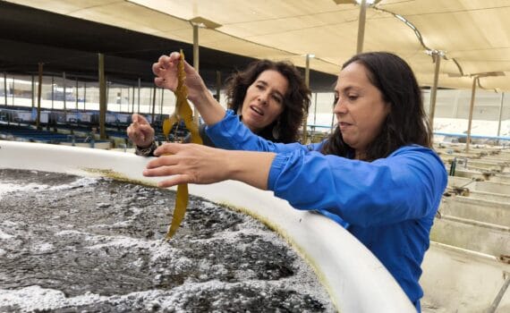 El centro chileno AquaPacífico avanza en su agenda técnica y de articulación territorial en la Región de Atacama