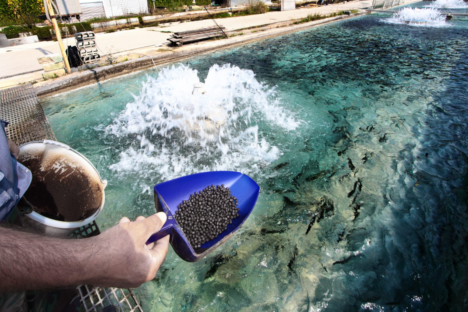 aquaManager: Proveedor líder en tecnología para una acuicultura precisa, automatizada y predecible